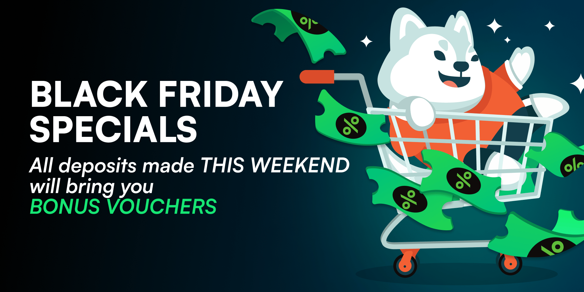 Promotion Black Friday Weekend