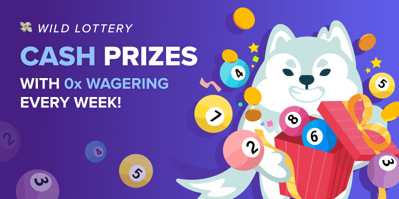 Banner slide for /promotions/wild-lottery