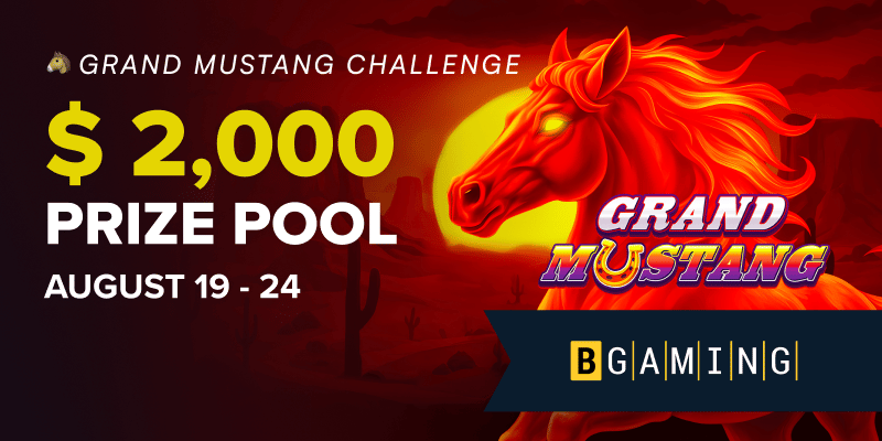 Banner slide for /promotions/bgaming-challenge